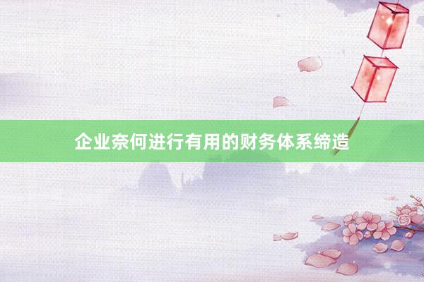 企业奈何进行有用的财务体系缔造