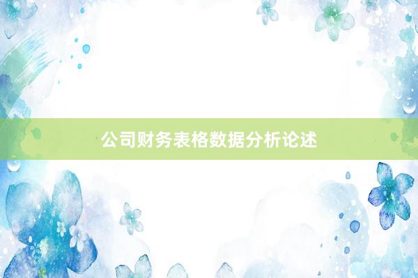 公司财务表格数据分析论述
