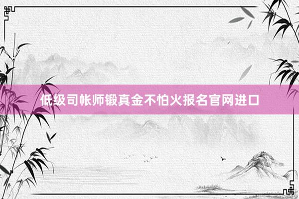 低级司帐师锻真金不怕火报名官网进口