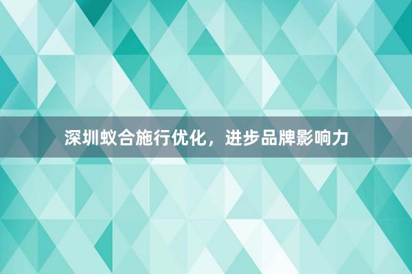 深圳蚁合施行优化，进步品牌影响力